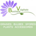 Boutique Végétale
