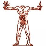 Vidéo : La Monnaie Acéphale, une histoire à perdre la tête ?