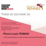 Explorer l’hétérogénéité dans la réplication de données décentralisées faiblement cohérentes