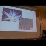 Vidéo : Bitcoin, un organisme vivant?