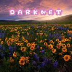 Bitcoin et Darknet, brisons les idées reçues