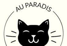 Au Paradis Des Chats