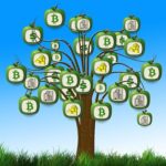 Webinaire : Quelle place pour le bitcoin dans mon portefeuille ?