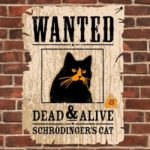 Peut-on reprocher à la décentralisation d’une DLT une chose et son contraire ?