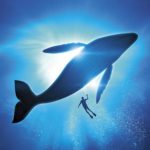 Une transaction de 88 857 bitcoins