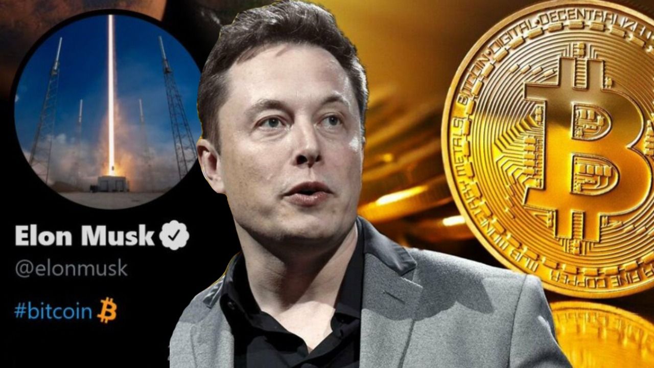 Elon Musk Says He Hasn T Sold Any Of His Bitcoins Napbots