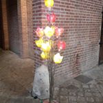 La Tulipe française