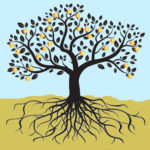 Taproot sur les rails