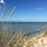 Le Clos de la crevette