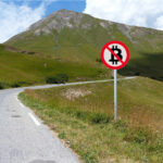 Réaction à une motion qui propose d’interdire l’usage de Bitcoin en Suisse