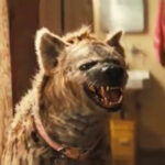 En 2022, une crispation réactionnaire antiBitcoin ?