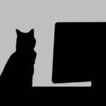 Grand Angle Crypto : Éloge de l’anonymat