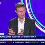 Pourquoi Bitcoin existe encore ?