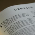 L’Élégance de Bitcoin (chapitre 1)