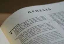 L’Élégance de Bitcoin (chapitre 1)