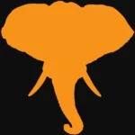 Bitcoin, l’éléphant dans la pièce