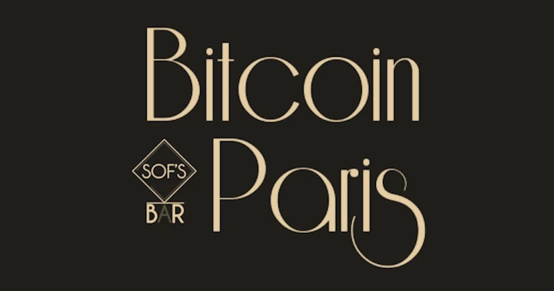 Bitcoin Paris: Wide Leg Pants
