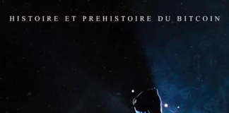 Enigma Nakamoto : Accélérationnisme, cybernétique et bascule politique