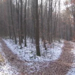 Les ETF indexés sur le bitcoin et la menace du BlackFork