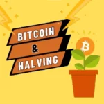 Meetup à Biarritz : Le halving de Bitcoin