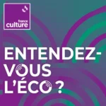 France Culture : « Que veulent les crypto-monnayeurs ? »