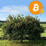 « Ain-Arbre, des Fruits » – Vente d’arbres fruitiers