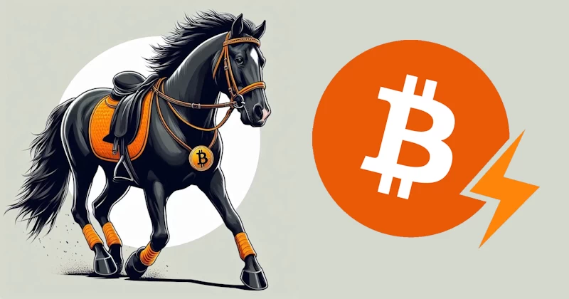 Strasbourg : Bitcoin Flam’s au Cheval Noir