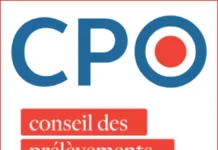 La Cour des comptes veut-elle la peau des bitcoiners?