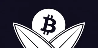 Surfin’ Bitcoin : menaces, impôts, surveillance… le vrai prix du succès