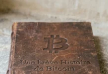 Une brève Histoire de Bitcoin