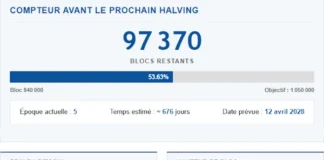 Tableau de Bord Bitcoin : Statistiques en temps réel