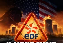 Surfin’ Bitcoin : EDF, Bitcoin : pourquoi les Américains ont compris avant nous